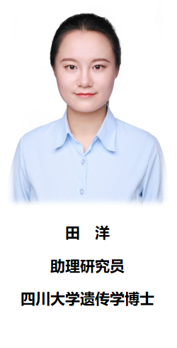 老澳门六合彩